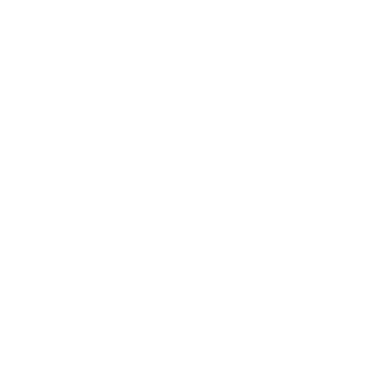 ds maintenance sleaford logo upscaled white